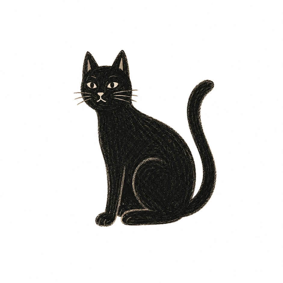 black cat
